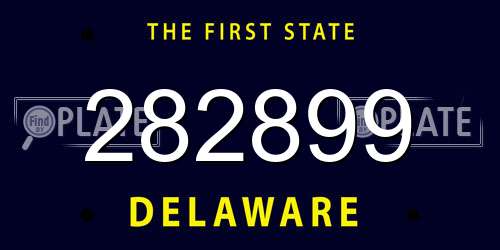 282899 Delaware License Plate