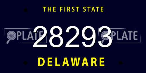 28293 Delaware License Plate