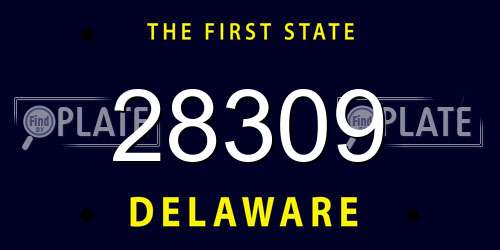 28309 Delaware License Plate