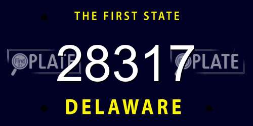 28317 Delaware License Plate