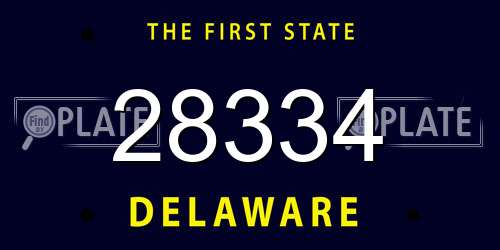 28334 Delaware License Plate