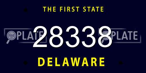 28338 Delaware License Plate