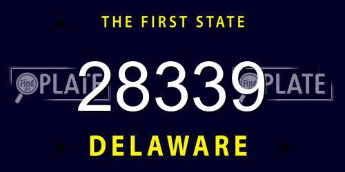 28339 Delaware License Plate