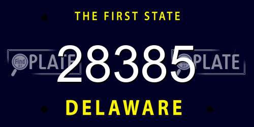 28385 Delaware License Plate