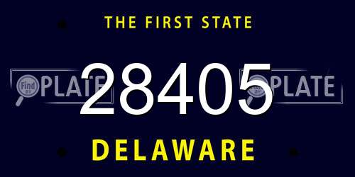 28405 Delaware License Plate