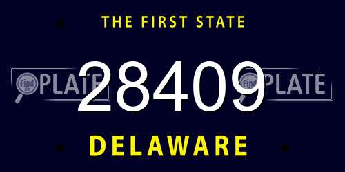 28409 Delaware License Plate