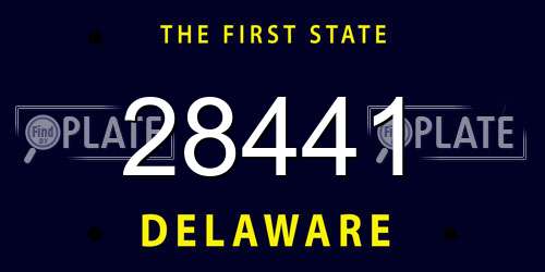 28441 Delaware License Plate