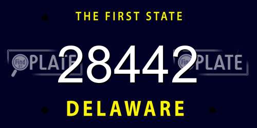28442 Delaware License Plate