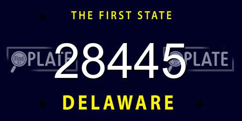 28445 Delaware License Plate