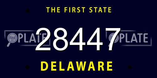 28447 Delaware License Plate