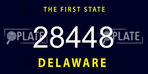 28448 Delaware License Plate