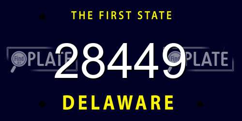 28449 Delaware License Plate