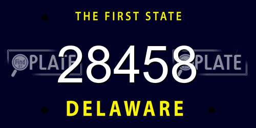28458 Delaware License Plate