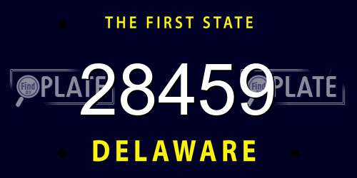 28459 Delaware License Plate