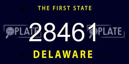 28461 Delaware License Plate