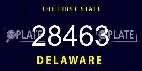 28463 Delaware License Plate