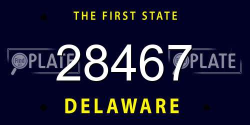 28467 Delaware License Plate