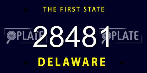 28481 Delaware License Plate