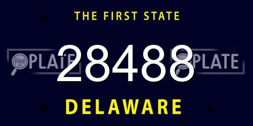 28488 Delaware License Plate