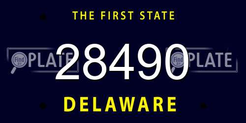 28490 Delaware License Plate