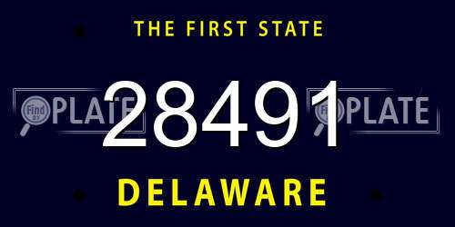 28491 Delaware License Plate