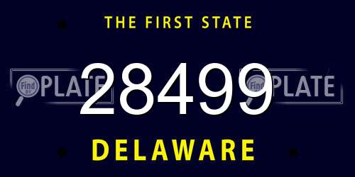 28499 Delaware License Plate
