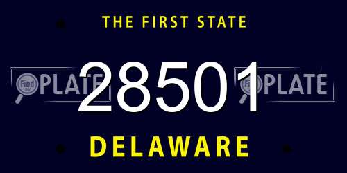 28501 Delaware License Plate