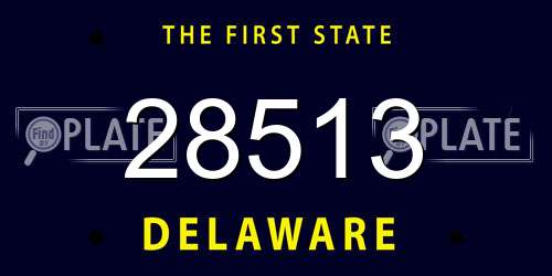 28513 Delaware License Plate