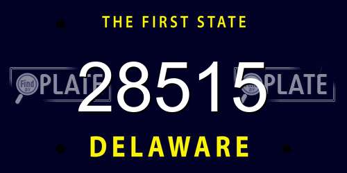 28515 Delaware License Plate