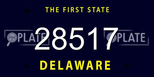 28517 Delaware License Plate