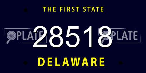 28518 Delaware License Plate