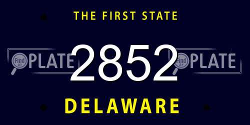 2852 Delaware License Plate