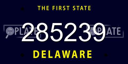 285239 Delaware License Plate
