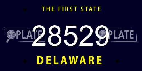 28529 Delaware License Plate