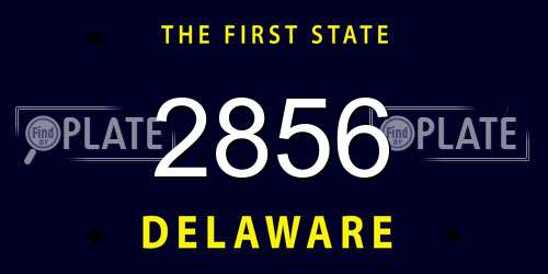2856 Delaware License Plate