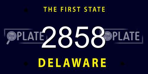 2858 Delaware License Plate
