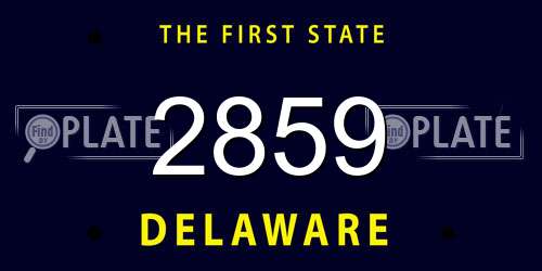 2859 Delaware License Plate