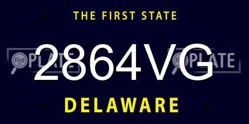2864VG Delaware License Plate