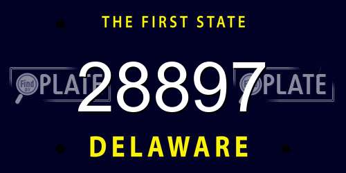 28897 Delaware License Plate