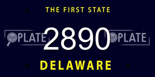 2890 Delaware License Plate