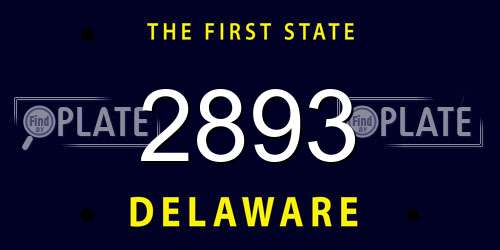 2893 Delaware License Plate