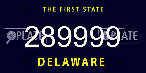 289999 Delaware License Plate