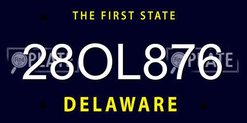 28OL876 Delaware License Plate