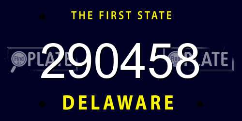 290458 Delaware License Plate