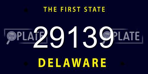 29139 Delaware License Plate