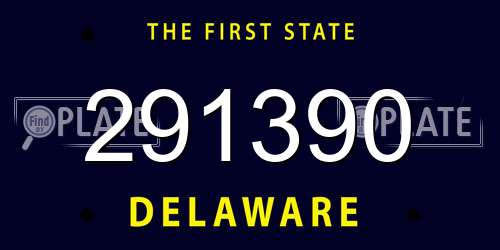 291390 Delaware License Plate