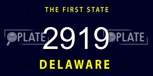 2919 Delaware License Plate