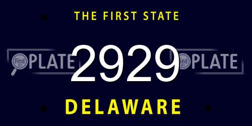 2929 Delaware License Plate