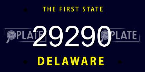 29290 Delaware License Plate