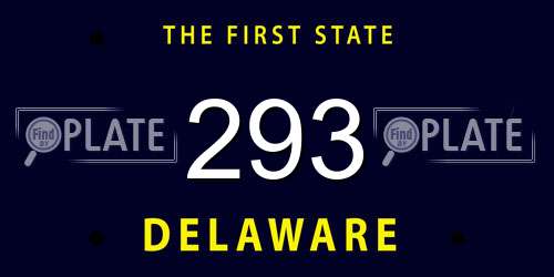 293 Delaware License Plate